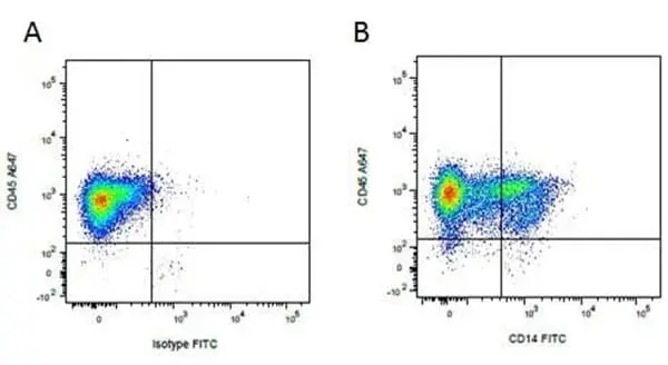 Anti Pig CD14 Antibody, clone MIL2 gallery image 5