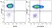 Anti Pig CD16 Antibody, clone G7 thumbnail image 10