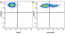 Anti Pig CD16 Antibody, clone G7 gallery image 11