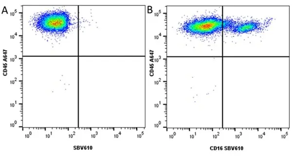 Anti Pig CD16 Antibody, clone G7 gallery image 11
