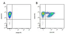 Anti Pig CD16 Antibody, clone G7 gallery image 2