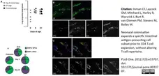 Anti Pig CD16 Antibody, clone G7 gallery image 3