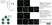 Anti Pig CD16 Antibody, clone G7 thumbnail image 3