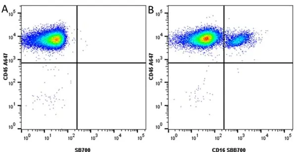 Anti Pig CD16 Antibody, clone G7 gallery image 8