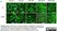 Anti Pig CD163 Antibody, clone 2A10/11 thumbnail image 11
