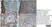 Anti Pig CD163 Antibody, clone 2A10/11 thumbnail image 12