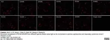 Anti Pig CD163 Antibody, clone 2A10/11 gallery image 16