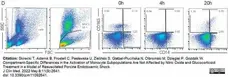Anti Pig CD163 Antibody, clone 2A10/11 gallery image 17