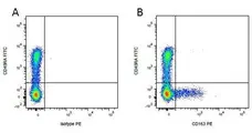 Anti Pig CD163 Antibody, clone 2A10/11 gallery image 2