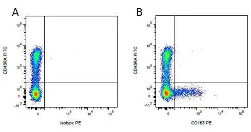 Anti Pig CD163 Antibody, clone 2A10/11 gallery image 2