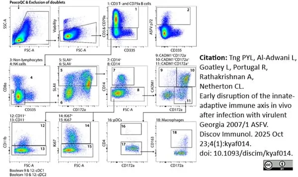Anti Pig CD163 Antibody, clone 2A10/11 | Bio-Rad