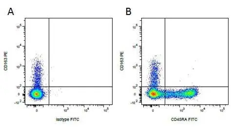 Anti Pig CD163 Antibody, clone 2A10/11 gallery image 3