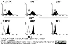 Anti Pig CD169 Antibody, clone 3B11/11 gallery image 3
