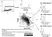 Anti Pig CD172a Antibody, clone BL1H7 thumbnail image 4