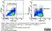 Anti Pig CD172a Antibody, clone BL1H7 thumbnail image 7