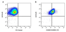 Anti Pig CD200R1/CD200R1L Antibody, clone PCT1 gallery image 2