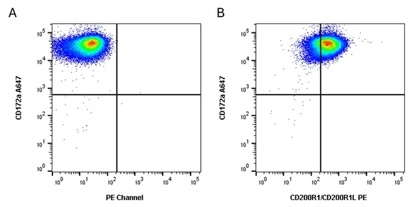 Anti Pig CD200R1/CD200R1L Antibody, clone PCT1 gallery image 3