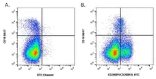 Anti Pig CD200R1/CD200R1L Antibody, clone PCT1 gallery image 4