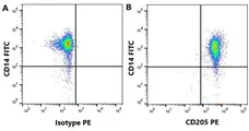 Anti Pig CD205 Antibody, clone ZH9F7 gallery image 1