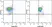 Anti Pig CD205 Antibody, clone ZH9F7 thumbnail image 2