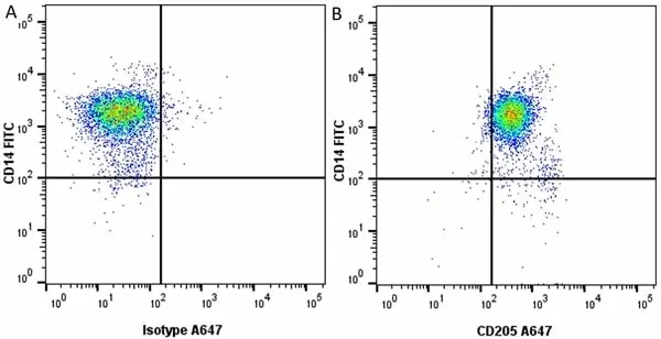 Anti Pig CD205 Antibody, clone ZH9F7 gallery image 2