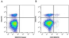 Anti Pig CD25 Antibody, clone K231.3B2 gallery image 13