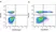 Anti Pig CD25 Antibody, clone K231.3B2 thumbnail image 14