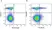Anti Pig CD25 Antibody, clone K231.3B2 thumbnail image 15