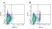 Anti Pig CD25 Antibody, clone K231.3B2 thumbnail image 4