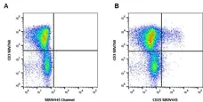 Anti Pig CD25 Antibody, clone K231.3B2 gallery image 9