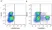 Anti Pig CD27 Antibody, clone B30C7 thumbnail image 10