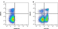 Anti Pig CD27 Antibody, clone B30C7 gallery image 2