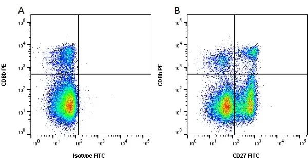 Anti Pig CD27 Antibody, clone B30C7 gallery image 2