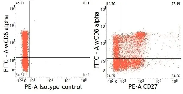Anti Pig CD27 Antibody, clone B30C7 gallery image 5