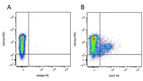 Anti Pig CD27 Antibody, clone B30C7 gallery image 6