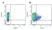 Anti Pig CD27 Antibody, clone B30C7 thumbnail image 6