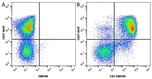 Anti Pig CD27 Antibody, clone B30C7 gallery image 8