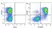 Anti Pig CD27 Antibody, clone B30C7 thumbnail image 9