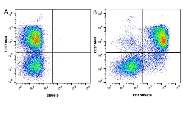 Anti Pig CD27 Antibody, clone B30C7 gallery image 9