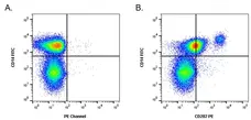 Anti Pig CD282 Antibody, clone 1H11 gallery image 2