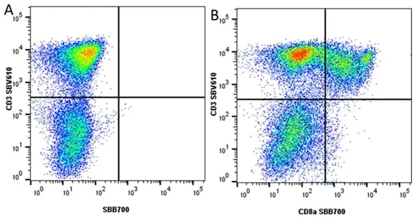 Anti Pig CD3 Antibody, clone PPT3 gallery image 10