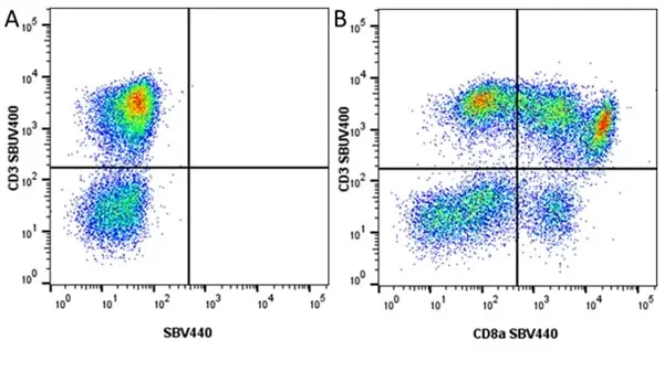 Anti Pig CD3 Antibody, clone PPT3 gallery image 12