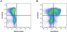 Anti Pig CD3 Antibody, clone PPT3 gallery image 16