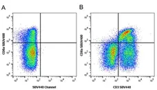 Anti Pig CD3 Antibody, clone PPT3 gallery image 19