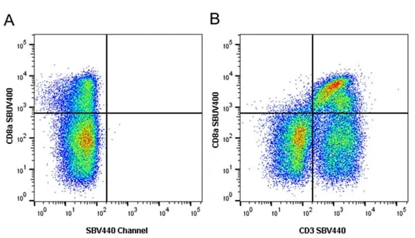 Anti Pig CD3 Antibody, clone PPT3 gallery image 19