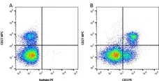 Anti Pig CD3 Antibody, clone PPT3 gallery image 2
