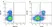 Anti Pig CD3 Antibody, clone PPT3 thumbnail image 2