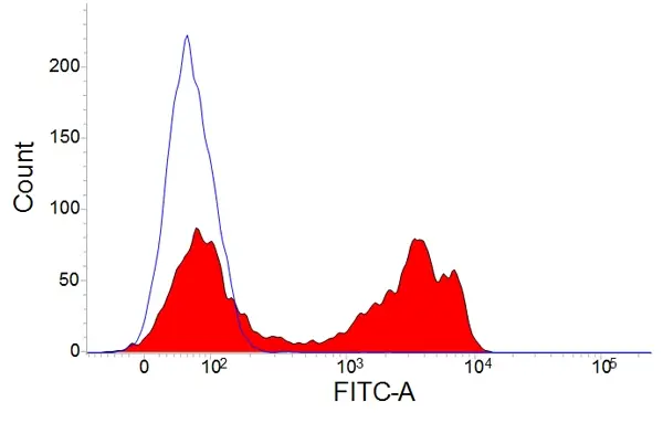 Anti Pig CD3 Antibody, clone PPT3 gallery image 3