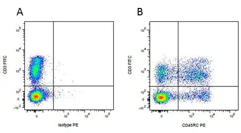 Anti Pig CD3 Antibody, clone PPT3 gallery image 5