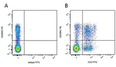 Anti Pig CD3 Antibody, clone PPT3 gallery image 6